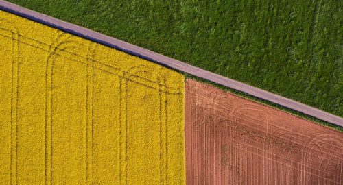 31-Climate-change-solutions-for-Carbon-and-Canada_s-agri-food-system